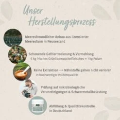 Aniforte Grünlippmuschelpulver Vollfettqualität 100 G -Ruffwear Verkäufe 2026 d98faa52594ca23e167fd69cb9699393e0760df9 1439277 de DE 56aad0a42e8544a96587ad496899fa8575021b855zKUTG