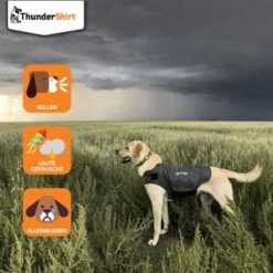 Thundershirt Beruhigungsweste Grau XS -Ruffwear Verkäufe 2024 dba829e1909f5c4f6710e4085b27664b9bf6ac3e 1102942 2