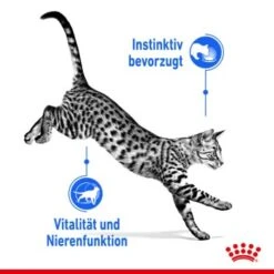 ROYAL CANIN Indoor 7+ Sterilised 12x85g In Gelee -Ruffwear Verkäufe 2024 dca22440cb7827635f09500dad8e99b040f2182a c2f7cdfba5615f6a0f166d3fda177842edcfb7e7