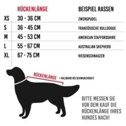 KaraLuna Bademantel Für Hunde XS 12 KaraLuna Bademantel Für Hunde XS -Ruffwear Verkäufe 2024 dca8f9bdbe8d32cbbb5c937052ddc243ca6902a8 1678940 de DE 41d15ccbf50fa77c99900febfceb264881416609OyVvmx