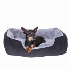 Lionto Hundekissen, Hundebett / Katzenbett Mit Wendekissen Grau/ Schwarz S -Ruffwear Verkäufe 2024 dcc5d9292850980da597dd3d41b309b2bef92fcf 1642112 de DE 2bf39624753f19296fa88fba5b98bc67c216a94aqaWpS0