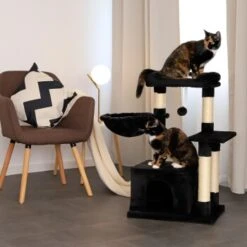 Lionto Kratzbaum Höhe 85 Cm Schwarz 8 Lionto Kratzbaum Höhe 85 Cm Schwarz -Ruffwear Verkäufe 2024 dd0e7cf28bc0aec8de2100657cc9a578d42c02e9 1657004 de DE a873592f3b94042f2787c5ac5fe2ced7ffef53d38BzneZ