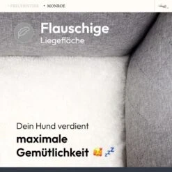 Freudentier Orthopädisches Hundebett Mit Memory Foam, Edel Gesteppt M 14 Freudentier Orthopädisches Hundebett Mit Memory Foam, Edel Gesteppt M -Ruffwear Verkäufe 2024 ddc2f4a5676b0a38bc9661e63f36bd2616ded3f1 1676841 de DE 5e94b680d7c867ebb8a1b8de52b39e61cad9fa72llMEw1