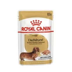 ROYAL CANIN Dachshund Adult Mousse 12x85g -Ruffwear Verkäufe 2024 de96ce197477c2a8829fb0e667d0e4e3cafcf670 1239184 de DE rc 1