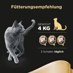 Sheba Selection In Sauce 22x85g Mit Rinderhäppchen 16 Sheba Selection In Sauce 22x85g Mit Rinderhäppchen -Ruffwear Verkäufe 2024 df37dc46181a88a1be6d8d9d2f7654156a5e7d19 4ad6dfb0c0d06f33126b23464dd4c1bdf61f6abc