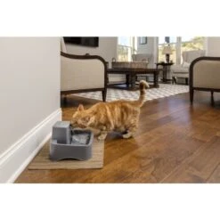 PetSafe Trinkbrunnen 1,8 L 13 PetSafe Trinkbrunnen 1,8 L -Ruffwear Verkäufe 2024 df488cf045110a6e0d24fcded3d81de07583d88a 1323706 7