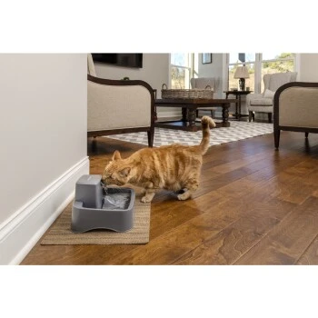 PetSafe Trinkbrunnen 1,8 L 4 PetSafe Trinkbrunnen 1,8 L – Bild 4