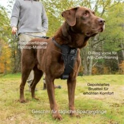 Kurgo Tru-Fit Smart Hundegeschirr XS 10 Kurgo Tru-Fit Smart Hundegeschirr XS -Ruffwear Verkäufe 2024 dfbefdb5cf1d59684ff67b5f978c9da5ad4d6801 1481169 de DE 388e931619b4f142b5510c311a315484232475c29AvRiq