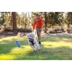 Ruffwear Gourdo™ Spielzeug L Violett -Ruffwear Verkäufe 2024 e0043bb37798e694605eafae31f43ab1b08a1b0e 1639892 de DE 14d32b95607116f791fa89977cce0163703631adnlxQik