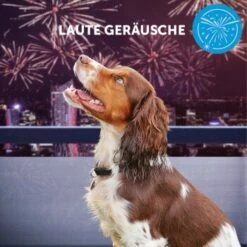 ADAPTIL Calm Halsband Anti Stress Erziehungshalsband S-M -Ruffwear Verkäufe 2026 e065c94a1eadac38177e4f3120e975f32282355e 1204441 10