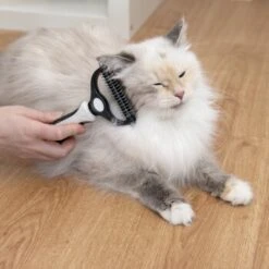 KaraLuna Unterfellbürste -Ruffwear Verkäufe 2024 e0e7f4b3ef49c70421b21094c2615519c93a1a3e 1407475 de DE 78030a6cd3af146aa7eb3f83fa2322b52c78816a2jpF0U