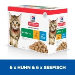 Hill's Science Plan Kitten Multipack Mit Huhn Und Seefisch 12x85 G -Ruffwear Verkäufe 2024 e35e003d7953d268e4d7faa01f4ebc88bd9f0d6b 52742211503 3