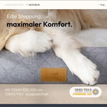 Freudentier Orthopädisches Hundebett Mit Memory Foam, Edel Gesteppt M 5 Freudentier Orthopädisches Hundebett Mit Memory Foam, Edel Gesteppt M – Bild 5