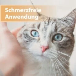 Felisept Wundgel 20ml -Ruffwear Verkäufe 2024 e40e3e95a03fb00c1318f0e5b318422377d5a3ac 1396291 de DE e6f6116196c434f816ff510902765d32eaff788cDpbYBX