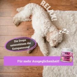 BeG Buddy Beruhigungsmittel Anti Stress 8 BeG Buddy Beruhigungsmittel Anti Stress -Ruffwear Verkäufe 2024 e508e321b670c48b8e0200cb260a2948b686e5df 1457250 de DE b3b765708a527c30f34f0f58c8595c44fbb0998aiAYJk8