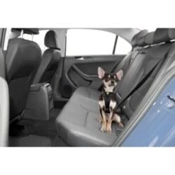 Kurgo Sicherheitsgeschirr XS 8 Kurgo Sicherheitsgeschirr XS -Ruffwear Verkäufe 2024 e74c62cf91c66685c2ae44f614f5483319a6b64d 40a5aede9e28b853f6101b01efbceb51af60aae4