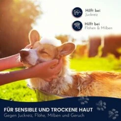 Pawlie's Sensitiv Hundeshampoo Für Hunde -Ruffwear Verkäufe 2024 e89fe06ff66f08049212bfc10adc10153aeb63cf 1626194 de DE 4976fc58bb1aa66ec74bbce2250fc22a134be1c3oYKgL0