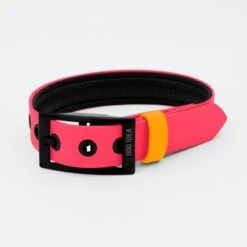 THE DOG IDEA Biothane Halsband Pink Pfirsich XS -Ruffwear Verkäufe 2024 e8deaa584c0f10d3f726c74088e2cb56c35d7acf 1487837 de DE 2b9ffa59e8a2f76997df28d9f79833a003d5b4e3nbedUp