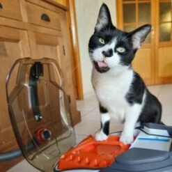 THOMAS Staubsauger 16 THOMAS Staubsauger -Ruffwear Verkäufe 2024 e924a64d06d1776c60effa6ed643bd7a6c20fdca 1406733 de DE 08e20bea72feee79416abcd48fd6e6a61e2fc6eav4kQrJ