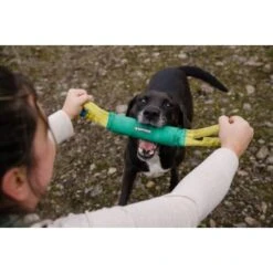 Ruffwear Pacific Loop™ Spielzeug -Ruffwear Verkäufe 2026 e936c628a710dab8494948a293deb058f553ae01 1364303 de DE 00b5c63cccd5cb6173233f699028b0326fbc1753ValC2q