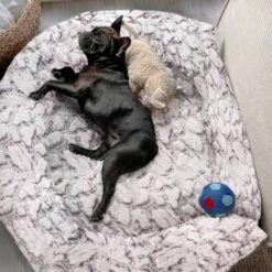 Wallace & Jones Hundebett Cordo-Heaven S 14 Wallace & Jones Hundebett Cordo-Heaven S -Ruffwear Verkäufe 2024 e93a1c7230d5e68bce6327ea17899707386bce88 1449008 de DE cd9be4db759cf7be03c3a1803409c0da67c4816eifOskb