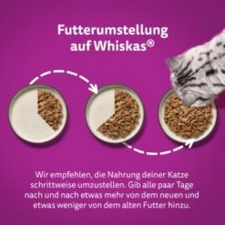 Whiskas Jumbo Pack 1+ Fisch Auswahl In Gelee 80 X 85g -Ruffwear Verkäufe 2024 e9fa5d9648fc621ba0bfa80c21e55ef3f92471aa 1410724 de DE Whiskas 5