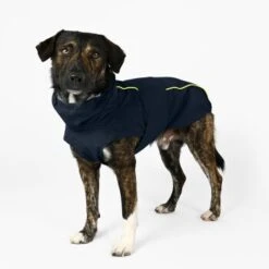THE DOG IDEA Regenmantel Duke Navy XXXS -Ruffwear Verkäufe 2024 ea00da11be84052a9bd95ce1f2727678ed1be4f4 1473009 de DE ac44302b2919bae198c186891f7199cadbe8fe207lh60I