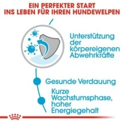 ROYAL CANIN Medium Puppy 10x140g 16 ROYAL CANIN Medium Puppy 10x140g -Ruffwear Verkäufe 2024 ea01834e95d5331859ec66f06e01952c0612edab 86009acb36c61560ce965056594dc109940f0dfe
