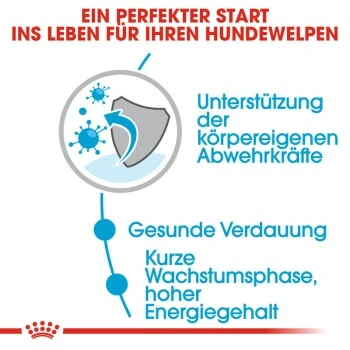 ROYAL CANIN Medium Puppy 10x140g 8 ROYAL CANIN Medium Puppy 10x140g – Bild 8