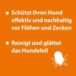 Ardap Anti Zecken Shampoo Für Hunde 250ml 9 Ardap Anti Zecken Shampoo Für Hunde 250ml -Ruffwear Verkäufe 2024 eb2dfbdf7225d09a19c8f88f4646a04f7e5b6075 1289723 de DE 147e22e7e5366ff5c32b239862781e55c73f3298axcqkW