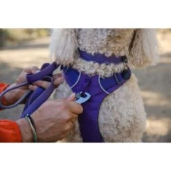 Ruffwear Front Range™ Leine Violett -Ruffwear Verkäufe 2024 eb2f9759d53ffaaebfe530ff03ce98c7a48a56d1 1651455 de DE 2df17f72915d6716e32ef884f8fc79995debc11eCsj6N1