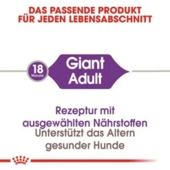 ROYAL CANIN Giant Adult 15 Kg -Ruffwear Verkäufe 2026 ed9579eaa299fbe87be5c9e9f73803983768bfb1 5e230ffc96ab4f1f8b62238aa9e6009b00bab5d1