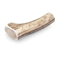 Larsson Geweih L Ca. 120-160g -Ruffwear Verkäufe 2024 eedd964b32fc746dd3f4ed471e3e2cab3755f705 1057933 de DE 97deed0735eed1582eb8fafdcd8c54066b467cfdFxGa39