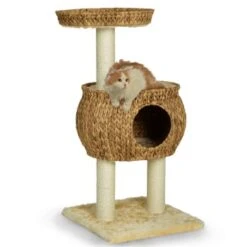 Silvio Design Kratzturm Cestino -Ruffwear Verkäufe 2024 ef0a90672f1eb00d70c3cd19197169962e160ff2 a23d448577d51dcf93e2a088a7495518cff75b25