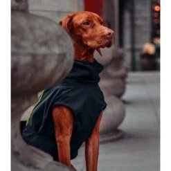 THE DOG IDEA Regenmantel Duke Navy XXXS -Ruffwear Verkäufe 2024 f096e7e133fa443cf15650dbb41c90e9710286ba 1473009 de DE 7ba56fe6bcea2b1323841a8c8f236c15c303a8beNvhTm4