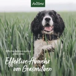 Aniforte Grasmilben-EX Spray Für Hunde 500ml -Ruffwear Verkäufe 2024 f1681a58b880d49267b5877e09c99fc6406a033b 1655910 de DE e3905507b4127feea49671bfd5a4aadf45361666Vq4xRH