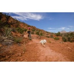 Ruffwear Swamp Cooler Zip™ Kühlweste Für Hunde Pink XL -Ruffwear Verkäufe 2024 f39337d577f60e5d30ba5addfb811febecbc66e7 1639652 de DE 1ff9fca93caed68be3a65cc55ad0d154f81bf268suJpN2