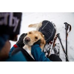 Ruffwear Cloud Chaser™ Hundejacke 17 Ruffwear Cloud Chaser™ Hundejacke -Ruffwear Verkäufe 2024 f46c67f8b7243d976f998e1877675b56fc87eab2 1369625 de DE 51d1c132eb566a7eb9e278708f64567d4e47a10epBiJRc