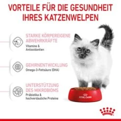 ROYAL CANIN Kitten 4 Kg 18 ROYAL CANIN Kitten 4 Kg -Ruffwear Verkäufe 2026 f4a05d762cdc5e6b170f6edd236e6bd5b7278cb0 3182550702973 5