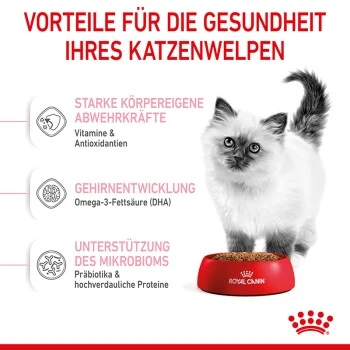 ROYAL CANIN Kitten 4 Kg 9 ROYAL CANIN Kitten 4 Kg – Bild 9