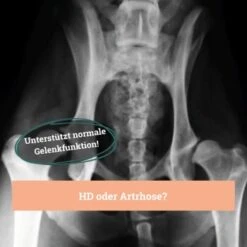 BeG Buddy Gelenk Fit Tabletten 12 BeG Buddy Gelenk Fit Tabletten -Ruffwear Verkäufe 2024 f4b9d51f2e78d12f2ca2a2fe6ae9f754ebede26e 1457251 de DE d18aefeba3109b170fc6ce5df4353512cf27c799DQ6Cd3