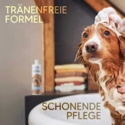 Pawlie's Welpenshampoo 10 Pawlie's Welpenshampoo -Ruffwear Verkäufe 2024 f56801adb1bee6d0b5fdd328d641fa773ce5d4c4 1626204 de DE 7b87b87a2e48e8c0e12b98c918c4d75b538aae40E5TfEc