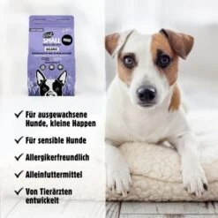 Eat Small EatSmall 3x2kg Trockenfutter Balance Mini -Ruffwear Verkäufe 2024 f5c28e0842872641bf266081476b7758e1f9592c 1480035 de DE 8ba3f4f1691754ebd4e1f51b5ada108265d86815pJ9Gga