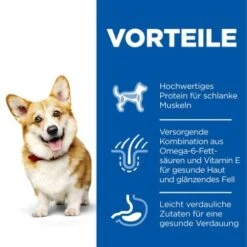 Hill's Science Plan Small & Miniature Adult 1-6 Huhn 6 Kg 11 Hill's Science Plan Small & Miniature Adult 1-6 Huhn 6 Kg -Ruffwear Verkäufe 2024 f5dc88025485e157512dfecd09344fbc5c130f09 52742282107 4