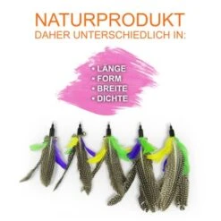 Schlitzohr Katzenangel Federanhänger 5x 13 Schlitzohr Katzenangel Federanhänger 5x -Ruffwear Verkäufe 2024 f6a96b93601c3b2f6f7420ade3ecfe56542cca74 1484675 de DE b1d2fd29ad67016b9a6af908251d348edfa467f2BG8aWR