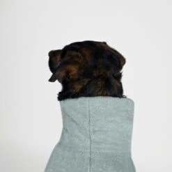 THE DOG IDEA Bademantel Every Mint XXS -Ruffwear Verkäufe 2024 f7bc80ab95e5cf654724fa3e5a93428fd0195434 1472965 de DE 67e953fd9948aa7b09975d9616d6736198afcc8bKbmy48