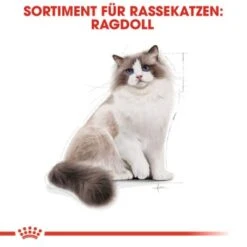 ROYAL CANIN Ragdoll Adult 10 Kg -Ruffwear Verkäufe 2024 f8b811f9eab7202e49f7b235d6a595fa348bbbaf bb5e5e0f36d3d37fdca6dd70ac412f733832df15