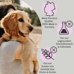 FAVLY Petfood FAVLY Probierpaket "Meat Roll" -Ruffwear Verkäufe 2026 f95f6d73b471bb4d2f747832dc517a14a97951b3 1475312 de DE 1599c09ca60134efdb65d5d73f221243ffcd3c9aM1RqUZ