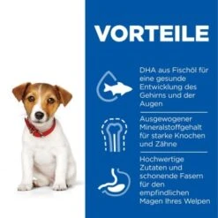 Hill's Science Plan Small & Miniature Puppy Mit Huhn 3 Kg -Ruffwear Verkäufe 2024 f99e800bdba85688d025c611ec54227734f1645a 52742281704 4