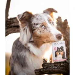 DOG'S LOVE Adult Hypoallergen 6x400g -Ruffwear Verkäufe 2024 f9f1fc4aa515eab49cf2248bceb6cc0121fe13fb 1274558 1